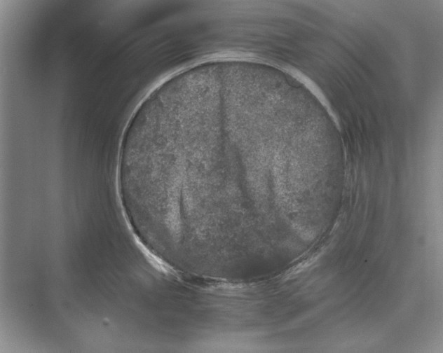 X0000072531245200608111738