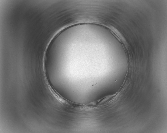 X0000072531246200608111738