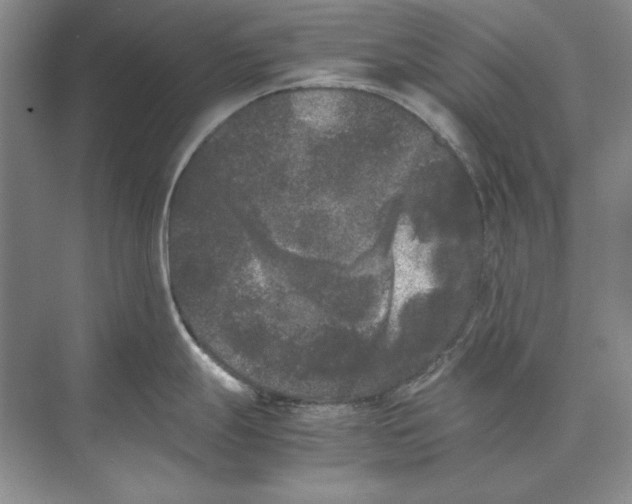 X0000072531247200608111738