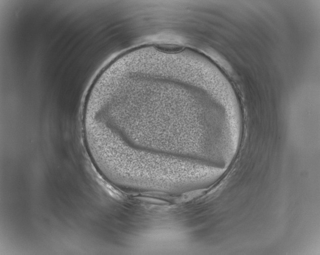 X0000072531248200608111738