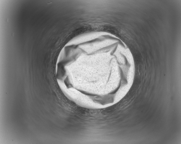 X0000072531249200608111737