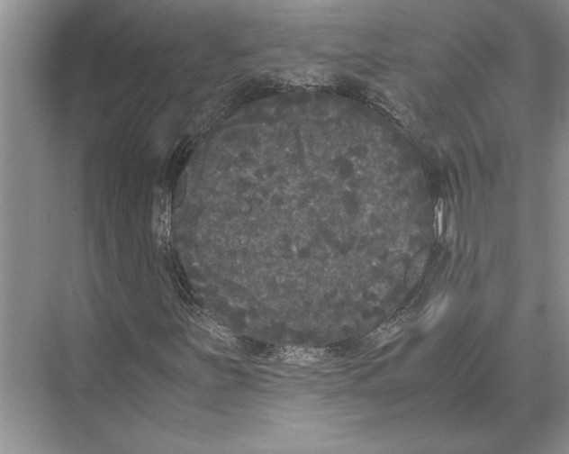 X0000072531251200608111737