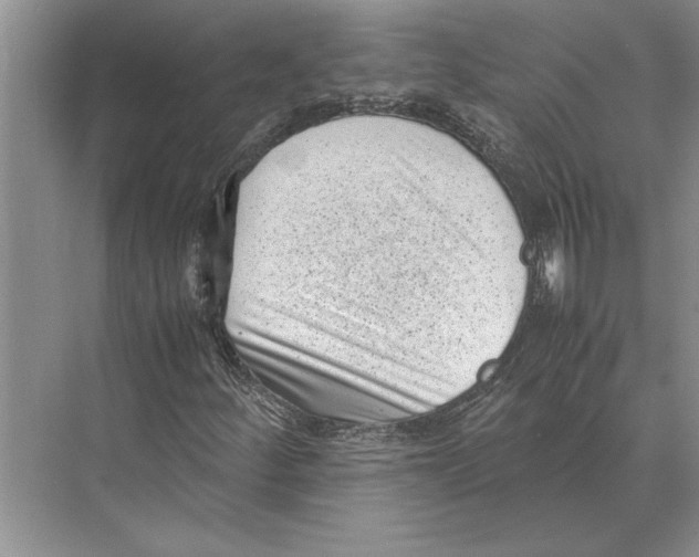 X0000072531252200608111737