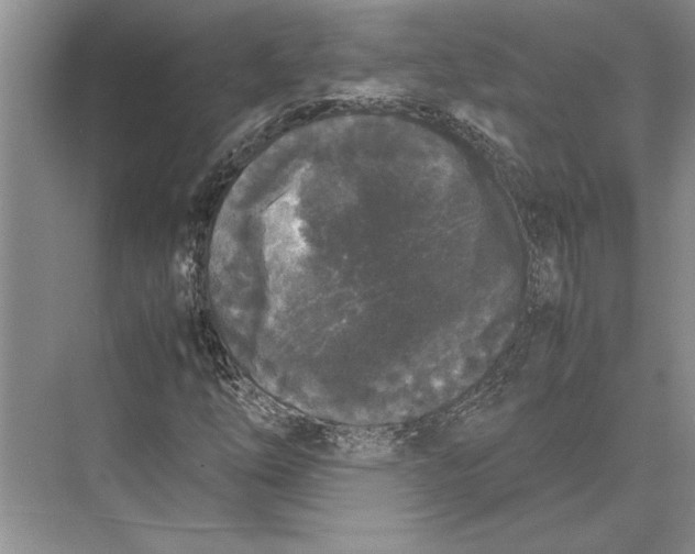 X0000072531254200608111737