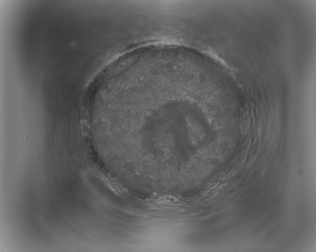 X0000072531255200608111737