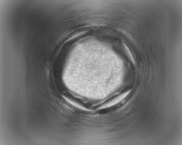 X0000072531257200608111737