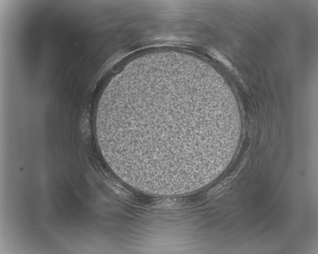 X0000072531259200608111737