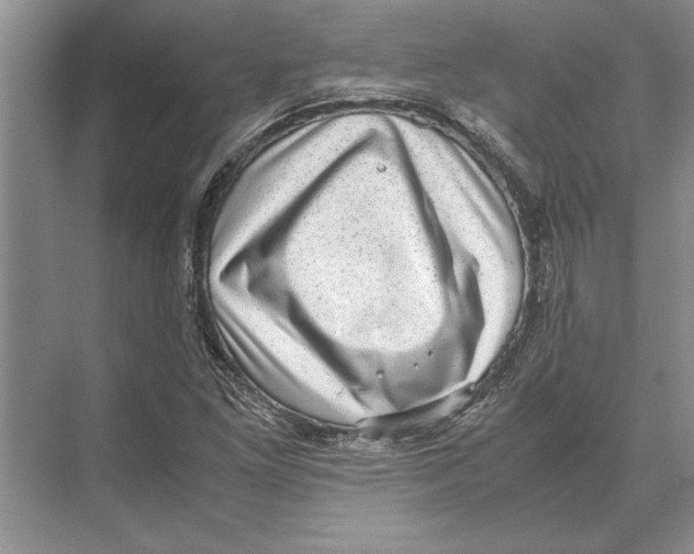 X0000072531261200608111737