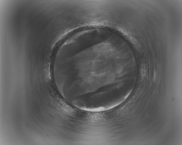 X0000072531262200608111737