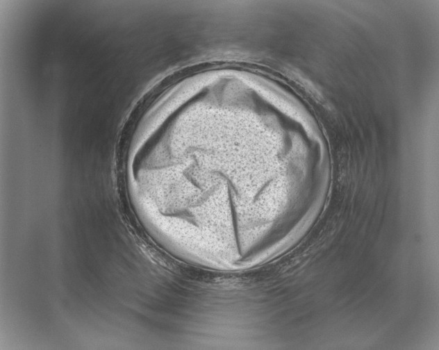 X0000072531264200608111737