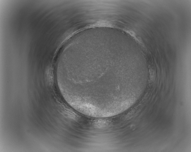 X0000072531266200608111737