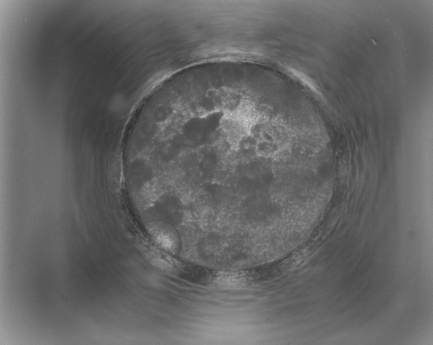 X0000072531267200608111737