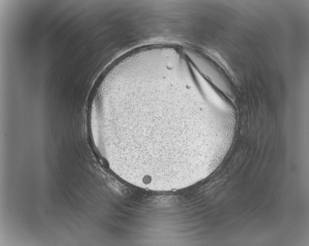 X0000072531268200608111737