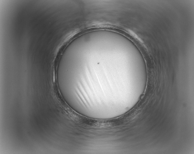 X0000072531269200608111737