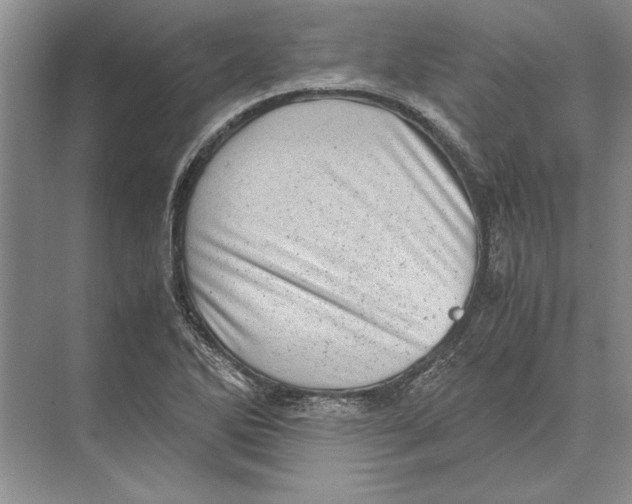 X0000072531270200608111737