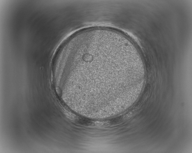 X0000072531271200608111737