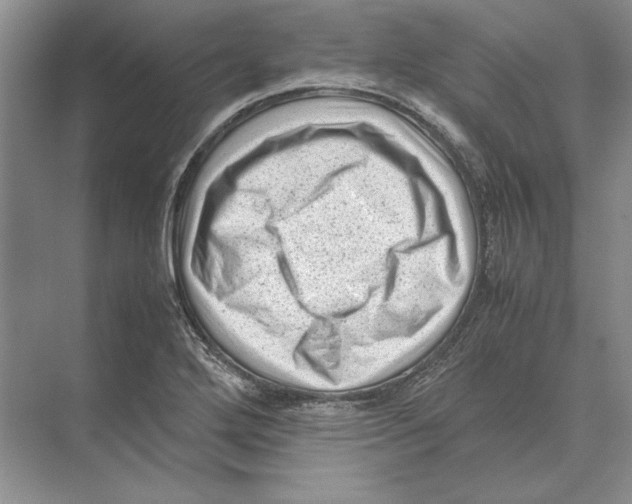 X0000072531272200608111737