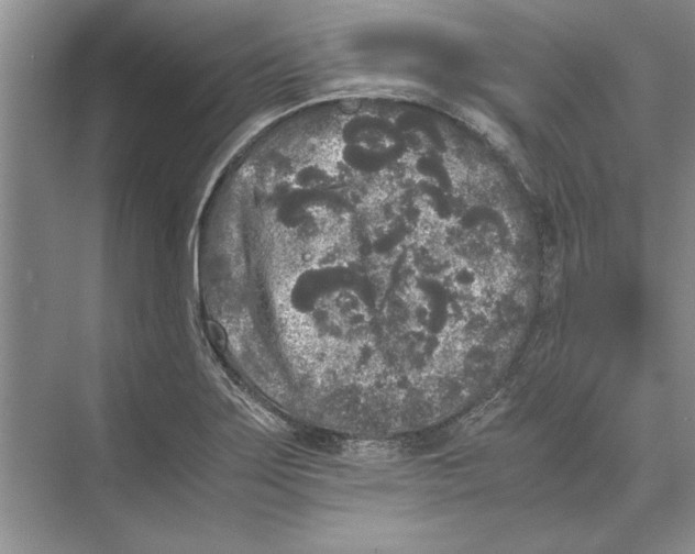 X0000072531275200608111737