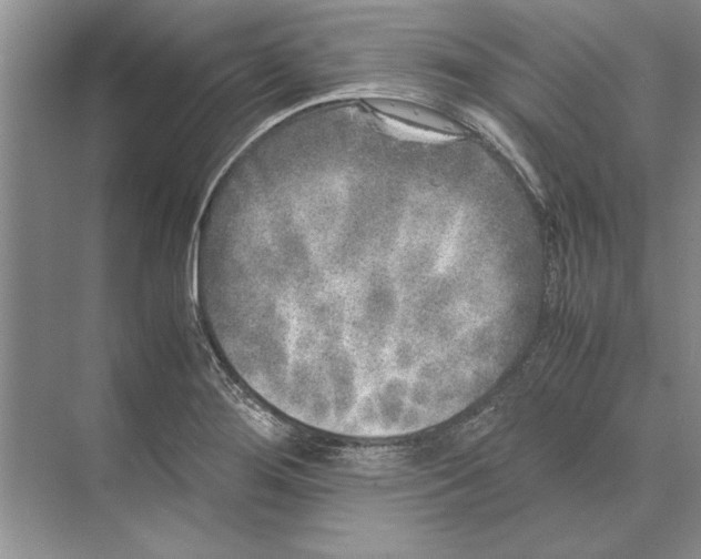 X0000072531276200608111737