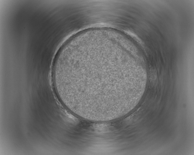 X0000072531278200608111737