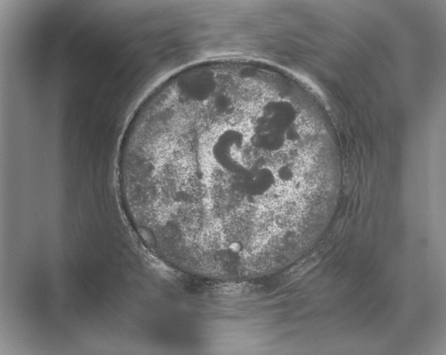 X0000072531279200608111737