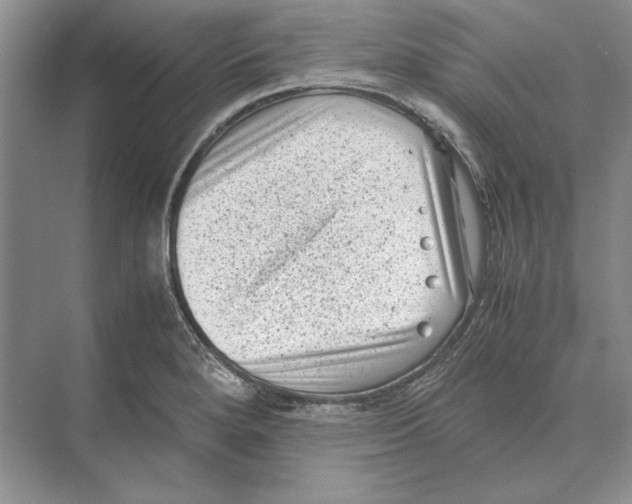 X0000072531280200608111737