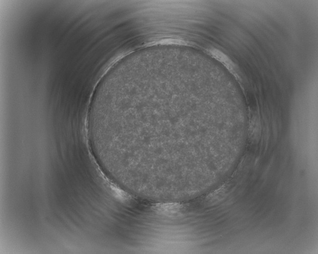 X0000072531282200608111737