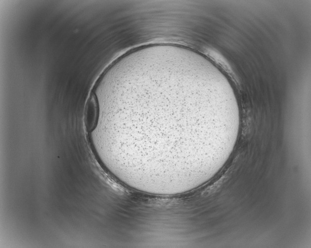 X0000072531284200608111737