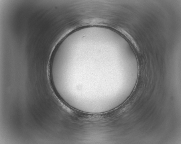 X0000072531285200608111736