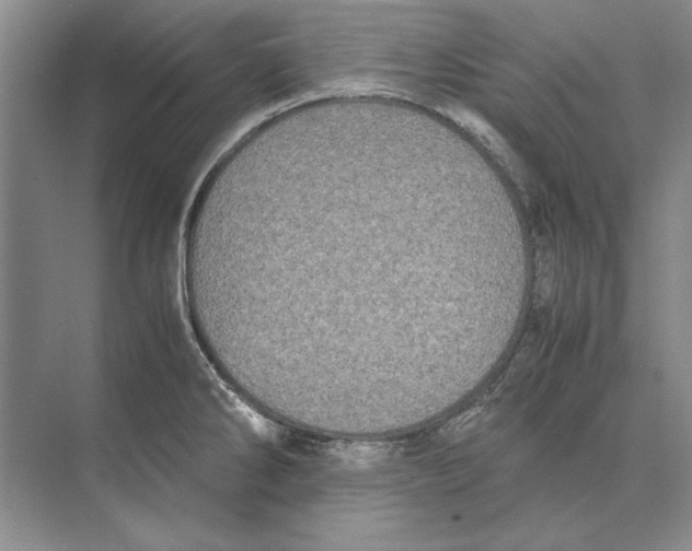 X0000072531286200608111736