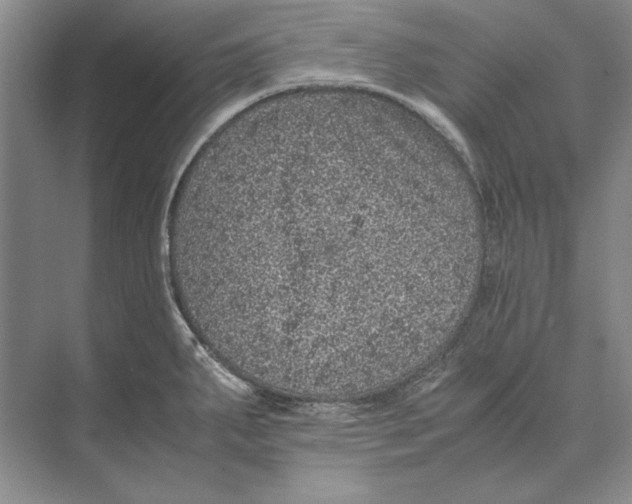 X0000072531287200608111736