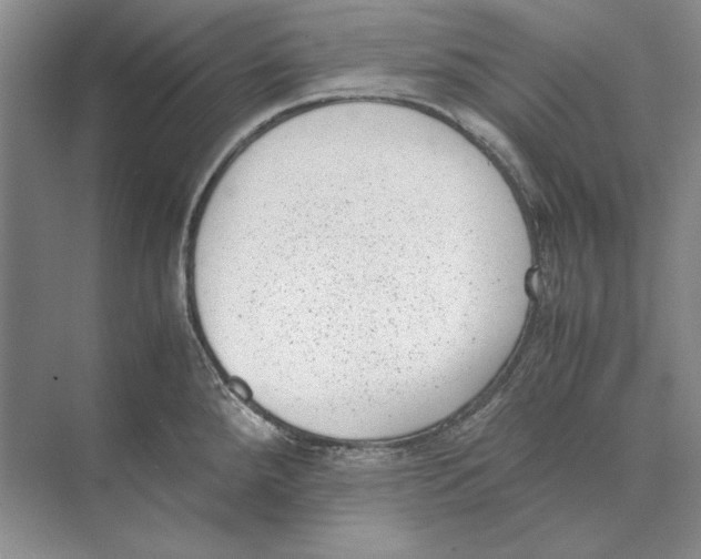 X0000072531288200608111736