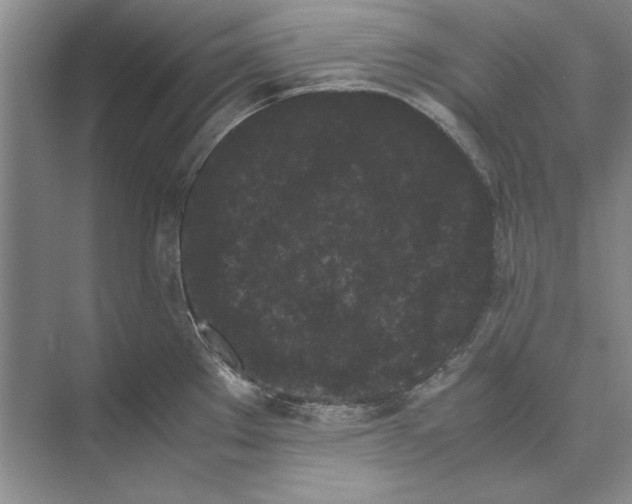 X0000072531289200608111736