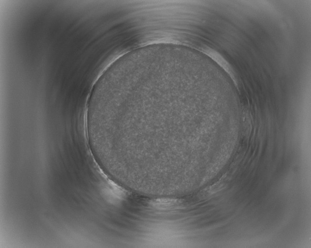 X0000072531290200608111736