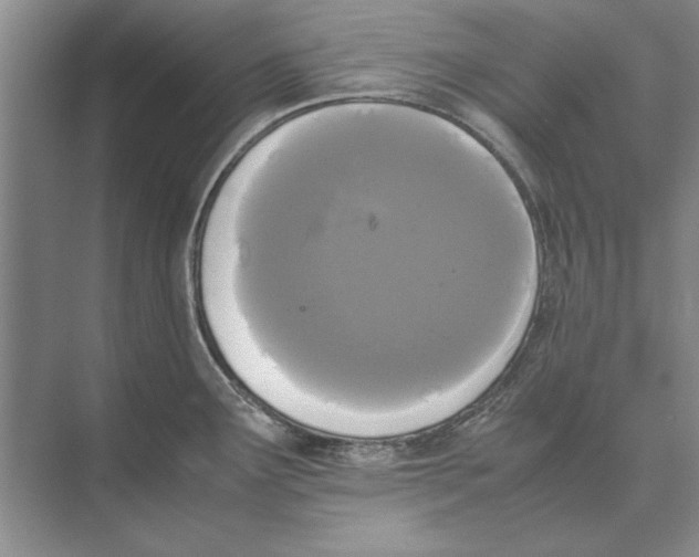 X0000072531291200608111736