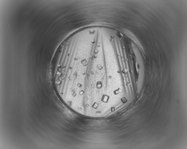 X0000072531292200608111736