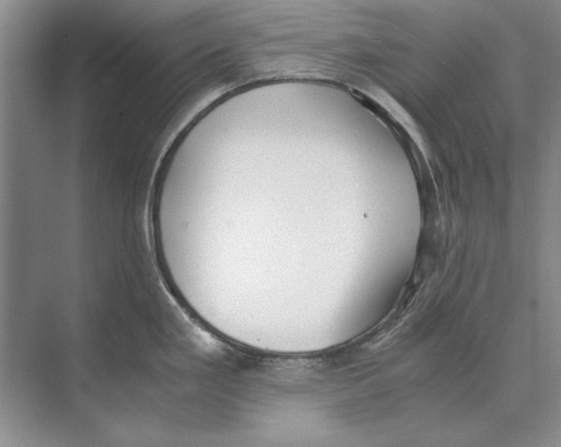 X0000072531293200608111736