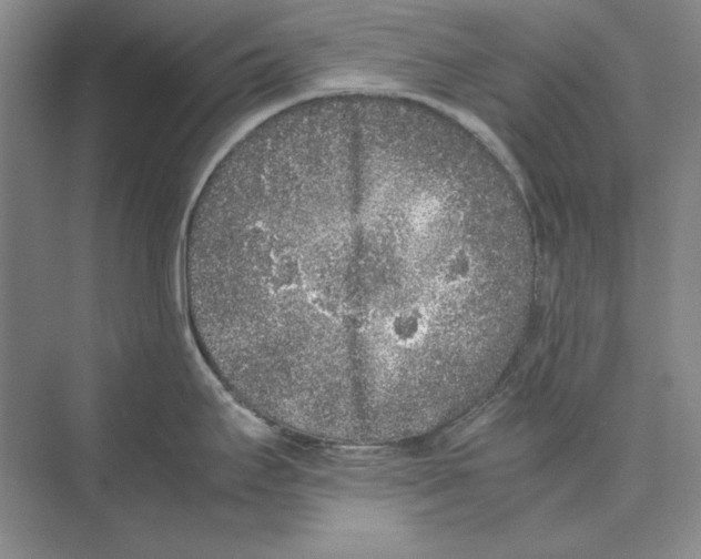 X0000072531295200608111736