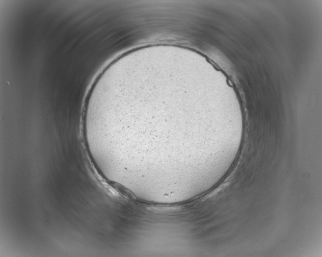 X0000072531296200608111736