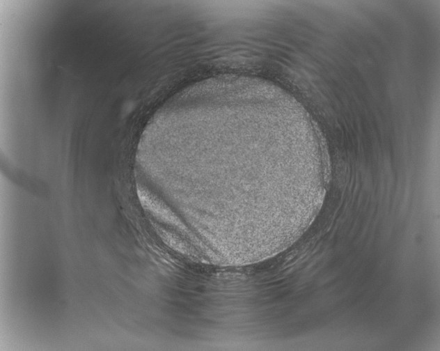 X0000072531297200608111735