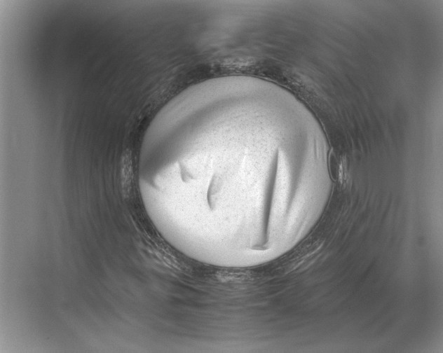 X0000072531299200608111736