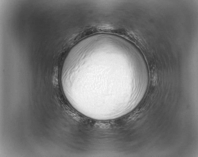 X0000072531301200608111736