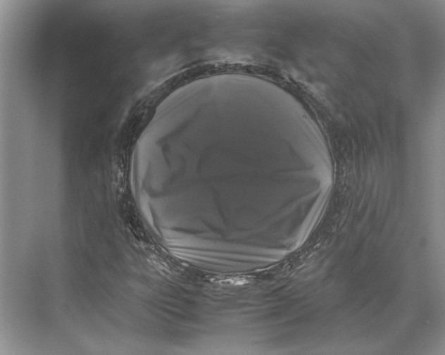 X0000072531303200608111736