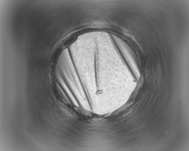 X0000072531304200608111736