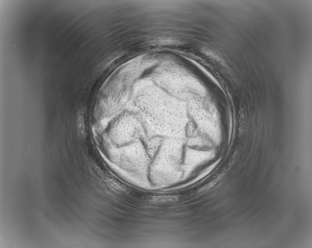 X0000072531305200608111736