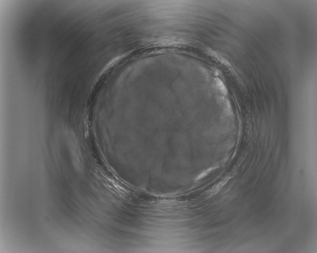 X0000072531306200608111736