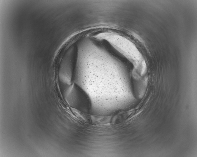 X0000072531310200608111736