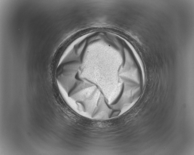 X0000072531311200608111736