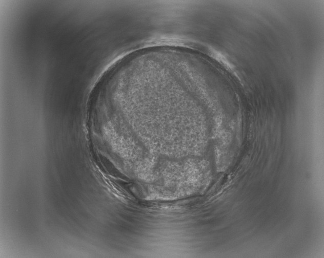 X0000072531312200608111736