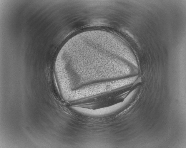 X0000072531313200608111736